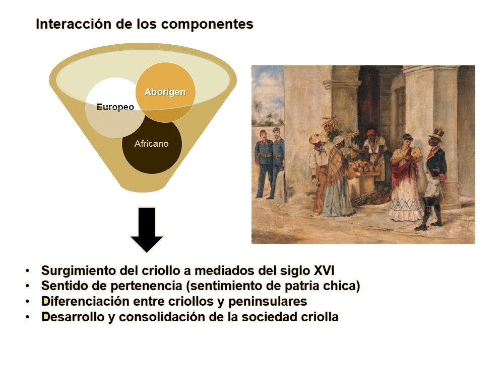 Componentes del criollo